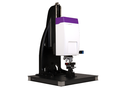 Global Holográfico digital Mercado