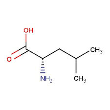 Global Leucina Mercado