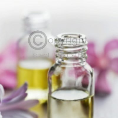 Global Niebla del cuerpo Mercado