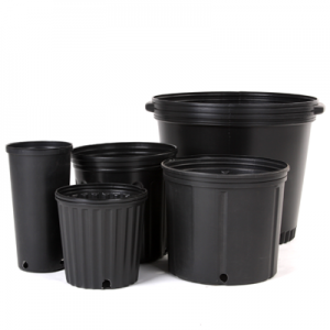 Global Contenedores moldeados por soplado Mercado