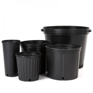 Global Contenedores moldeados por soplado Mercado