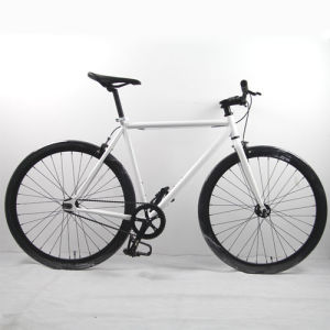 Global Bicicleta de engranaje fijo Mercado