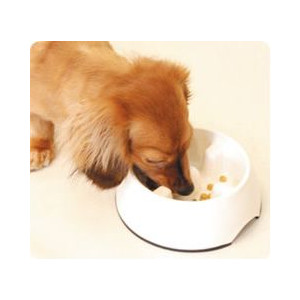 Global Tazón de comida para mascotas Mercado