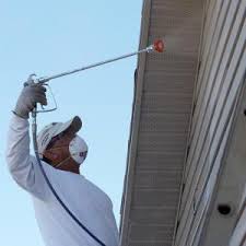 Global Recubrimientos Intumescentes Mercado